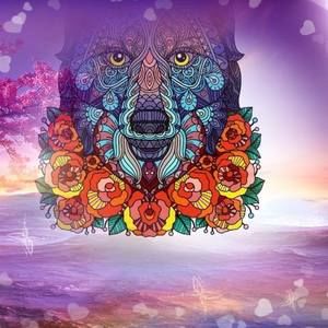 Meet your Posher, Terry